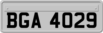 BGA4029