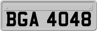 BGA4048