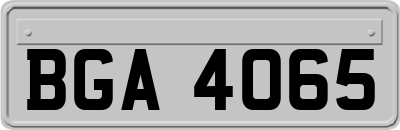 BGA4065