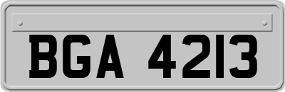 BGA4213
