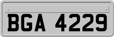 BGA4229