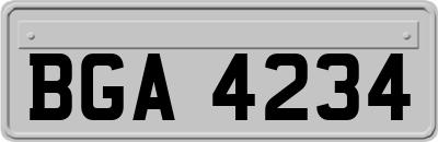 BGA4234