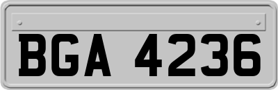 BGA4236