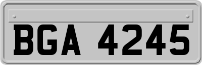 BGA4245