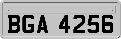 BGA4256