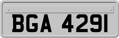 BGA4291
