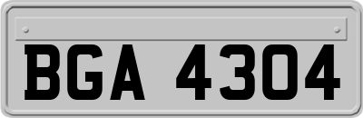 BGA4304