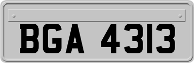 BGA4313
