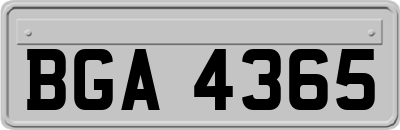 BGA4365