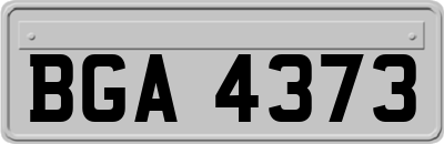 BGA4373