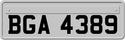 BGA4389