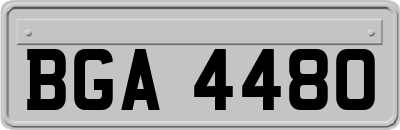BGA4480