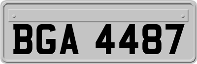 BGA4487