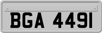 BGA4491