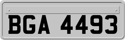 BGA4493