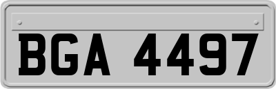 BGA4497