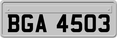 BGA4503