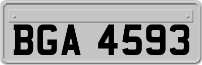 BGA4593