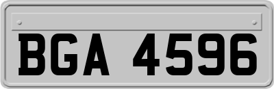 BGA4596