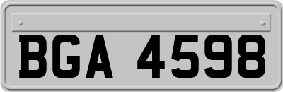 BGA4598