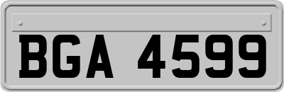 BGA4599