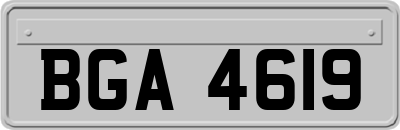 BGA4619