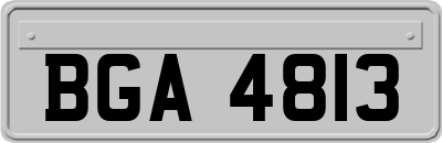 BGA4813