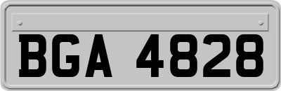 BGA4828