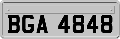 BGA4848