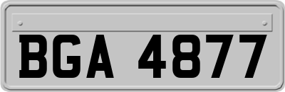 BGA4877