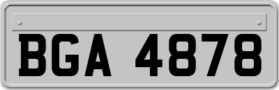 BGA4878