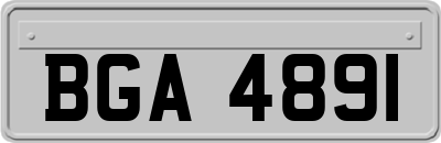 BGA4891