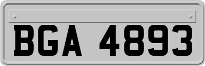 BGA4893