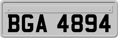 BGA4894