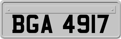 BGA4917