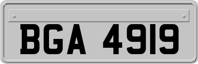 BGA4919