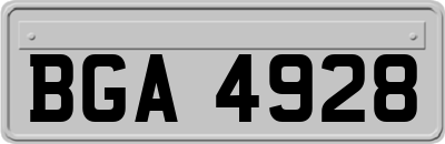 BGA4928