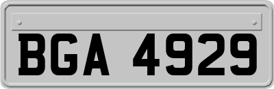 BGA4929