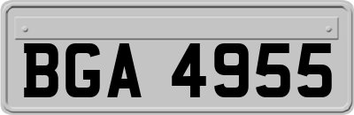 BGA4955