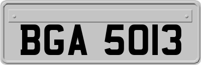 BGA5013