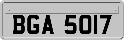 BGA5017