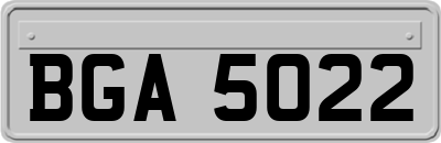 BGA5022