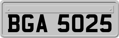 BGA5025