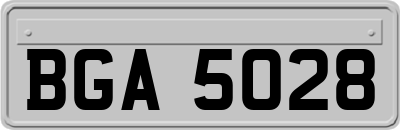 BGA5028
