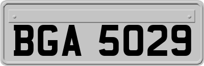 BGA5029