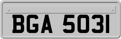 BGA5031