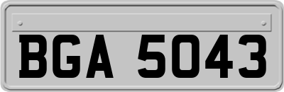 BGA5043
