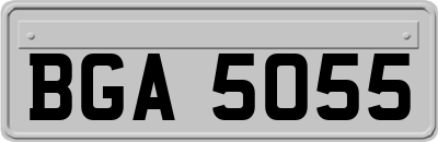 BGA5055