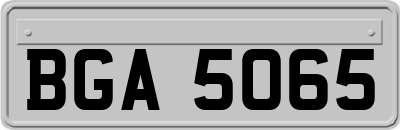 BGA5065
