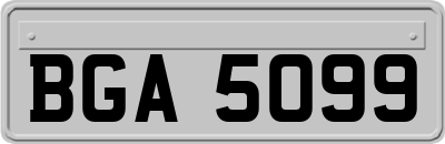 BGA5099